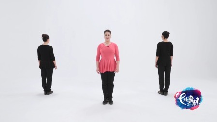 鸿雁飞飞-李萍（教学分解）