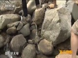 远方的家 《远方的家》特别节目《再见江河》 雨林深处的昌化江 20150709