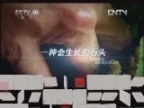 地理中国 《地理中国》 20120619 系列节目《秘境零距离》——幽洞奇石