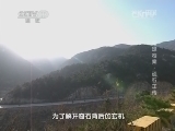 地理中国 《地理中国》 20141221 地球档案·顽石正传