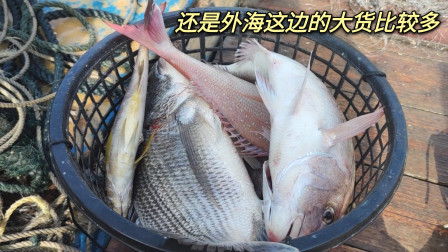 南澳岛赶海日记 还是外海捕鱼的大货多，几条就装了满满一筐，这样拉网才刺激