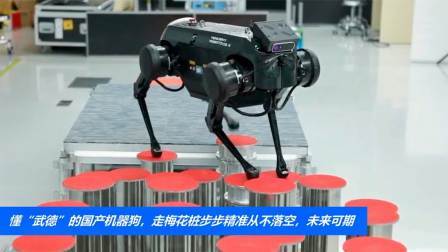 懂“武德”的国产机器狗，走梅花桩步步精准从不落空，未来可期
