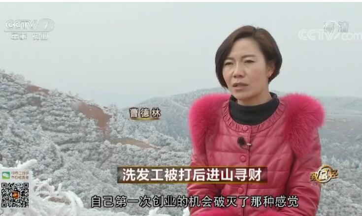 致富经 [致富经]洗发工被打后进山寻财 20180206