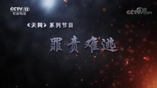 天网 《天网》 20190830 罪责难逃·假如没有逃逸