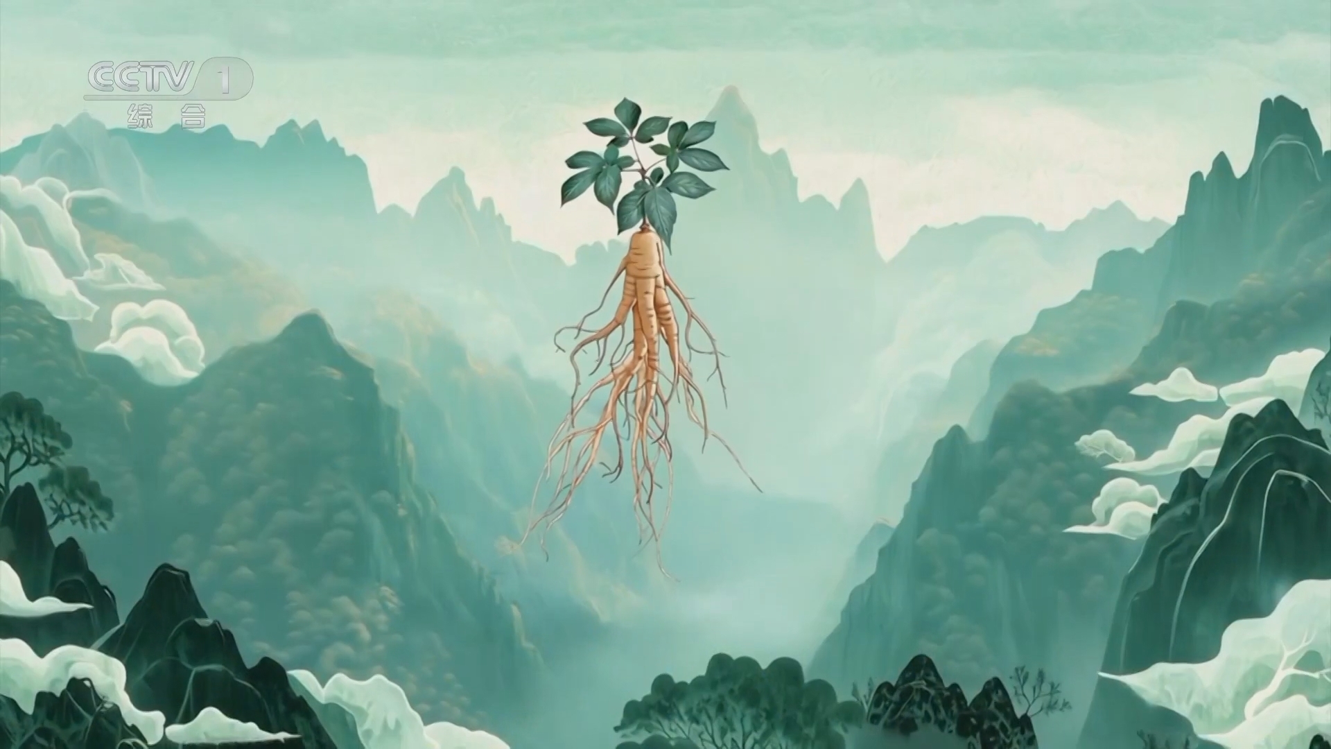 本草流芳 《本草流芳》 第1集 瑞草之首