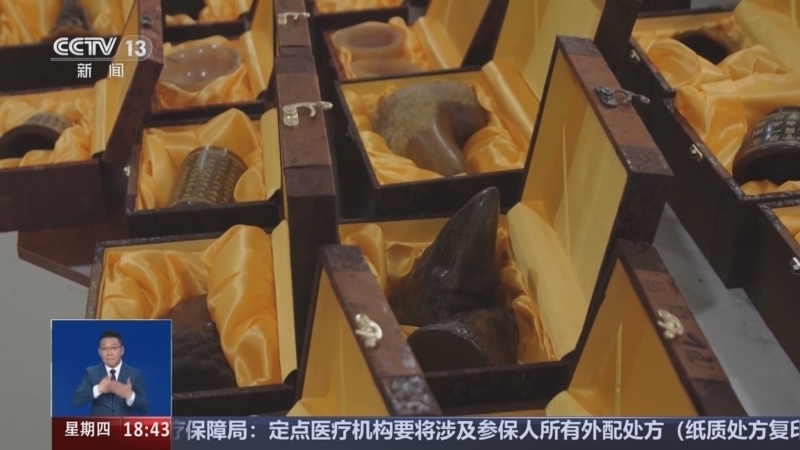 共同关注 《共同关注》 20241017