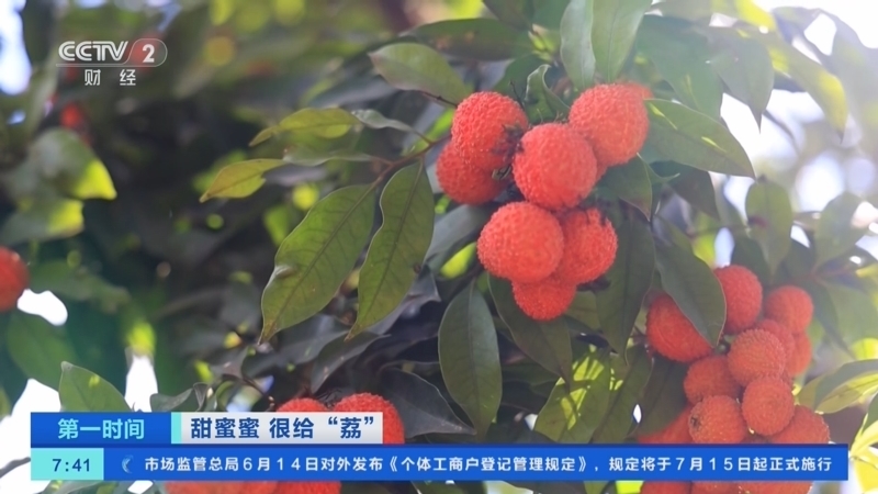 《第一时间》 20250615 1/2