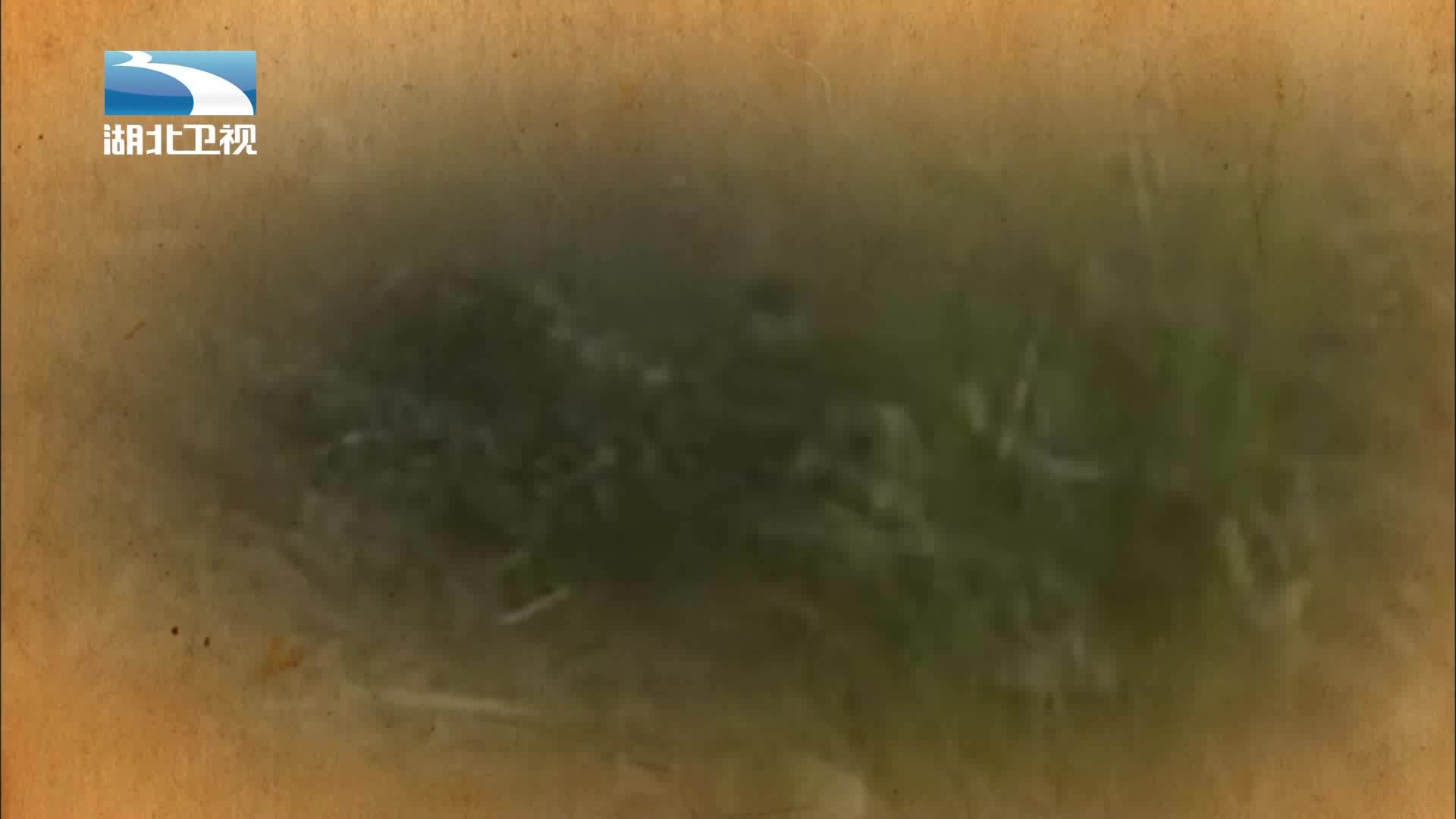 伟大长征 《伟大长征》第2集