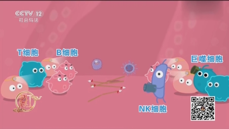 《夕阳红》 20251216 守护身体屏障（2）