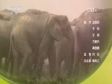 自然传奇 《自然传奇》 20170801 巨兽帝国