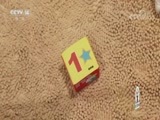 小小智慧树 《小小智慧树》 20180524