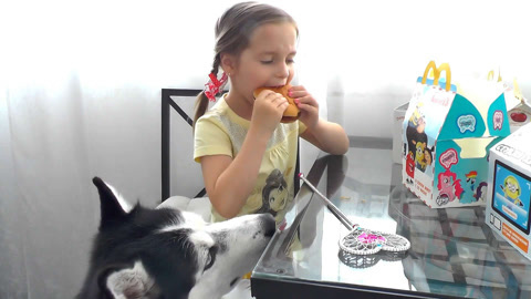 苏菲亚悄悄吃美食