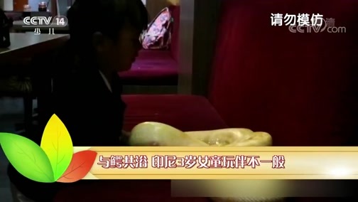 新闻袋袋裤 《新闻袋袋裤》 20190416