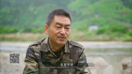 与梦想合拍 咬定青山不放松 脱贫攻坚看海雀