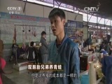 致富经 《致富经》 20151020 双胞胎兄弟养青蛙