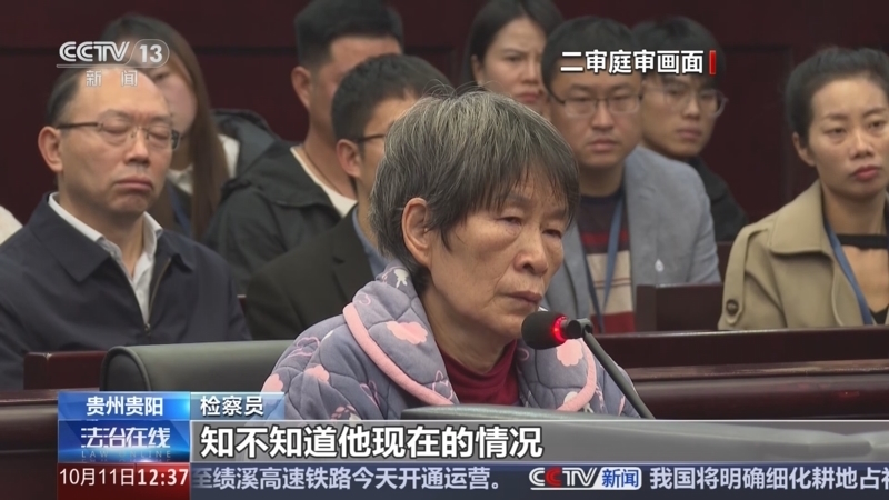 法治在线 《法治在线》 20241011