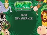 绿野寻踪 《绿野寻踪》 20160525