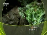 地理中国 《地理中国》 20160630 潮泉秘境（下）