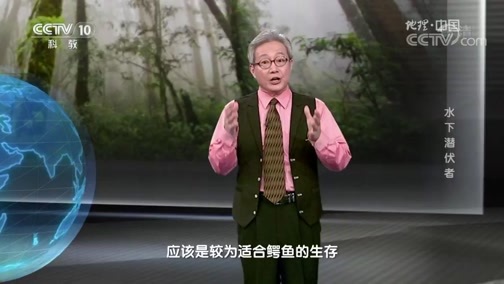 地理中国 《地理中国》 20190521 生物多样性日·水下潜伏者