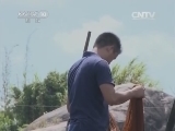 我爱发明 《我爱发明》 20141108 一网在手