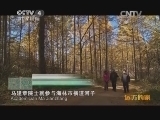 远方的家 《远方的家》 20131216 百山百川行（162）——张广才岭 岭上东北虎