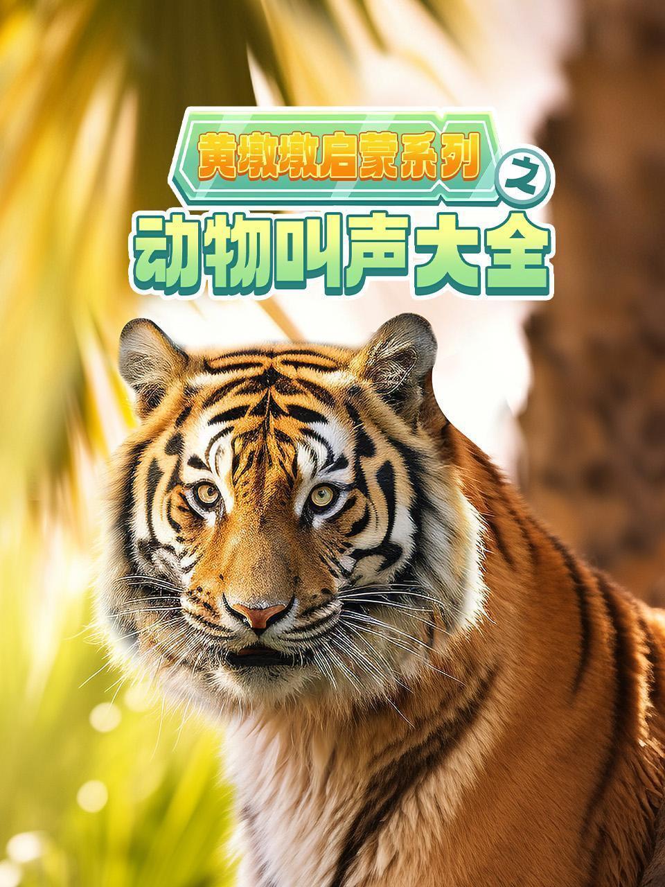 黄墩墩启蒙系列之动物叫声大全