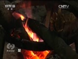 焦点访谈 《焦点访谈》 20160514 乡土中国农村系列调查：小镇来了新移民