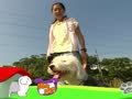 狗狗日记 第234天 测验Alpha等一等