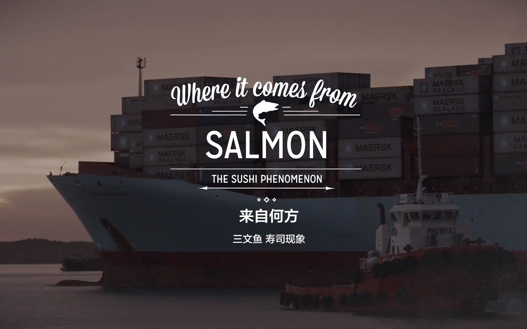 来自何方 巨轮之旅