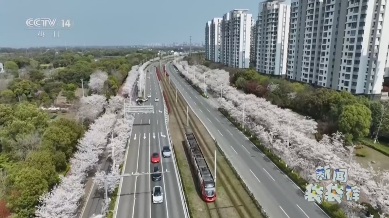 《新闻袋袋裤》 20260409