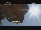 致富经 《致富经》 20150127 黄色的诱惑
