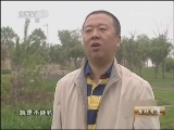 生财有道 [生财有道]投石入海带来的财富(20130320)
