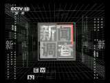 新闻调查 拍卖骗局？