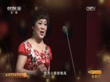 CCTV空中剧院 《CCTV空中剧院》 20170708 2017港澳行戏曲演唱会（访谈）