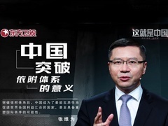 这就是中国 中国突破依附体系的意义