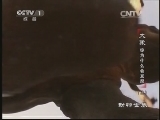 动物世界 《动物世界》 20131121 大象，你为什么会发怒（上）