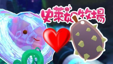 酷爱史莱姆牧场 第一季 这么丑的食物也有人喜欢？琉璃沙漠特产棘梨