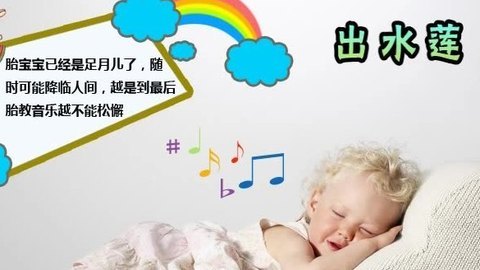 胎教音乐 第37周 出水莲