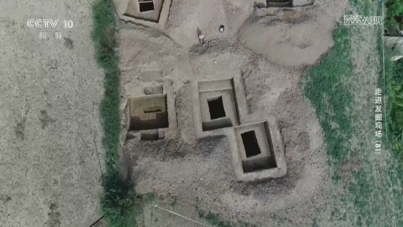 探索发现 《探索·发现》 20260709 走进发掘现场（81）