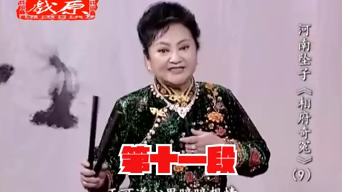 河南坠子《相府奇冤》