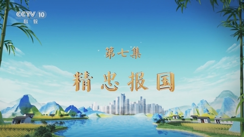 百家讲坛 《百家讲坛》 20250111 特别节目《天地有正气》（7） 精忠报国
