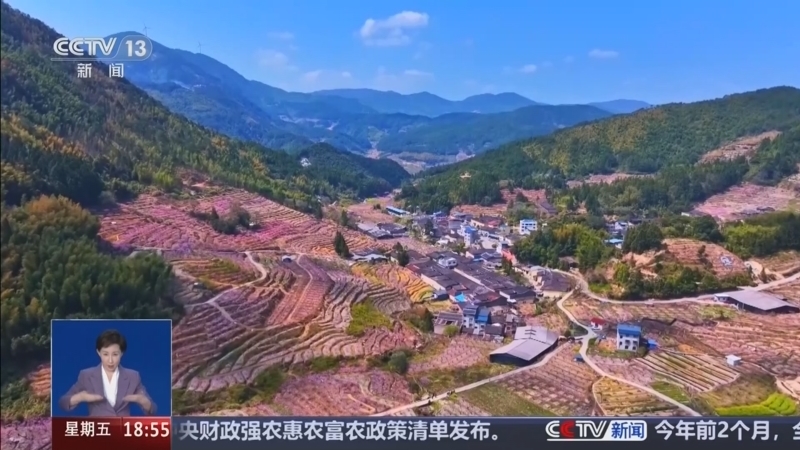 共同关注 《共同关注》 20260320