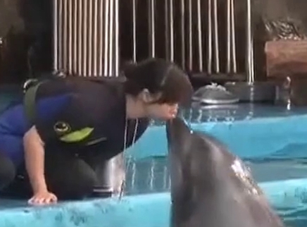 谁与争锋 第二季 拟音师VS灵性海豚