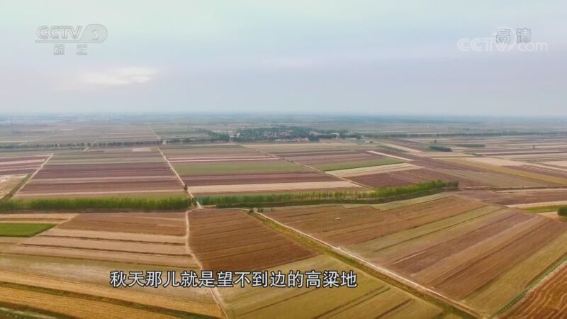 文化十分 《文化十分》 20200923