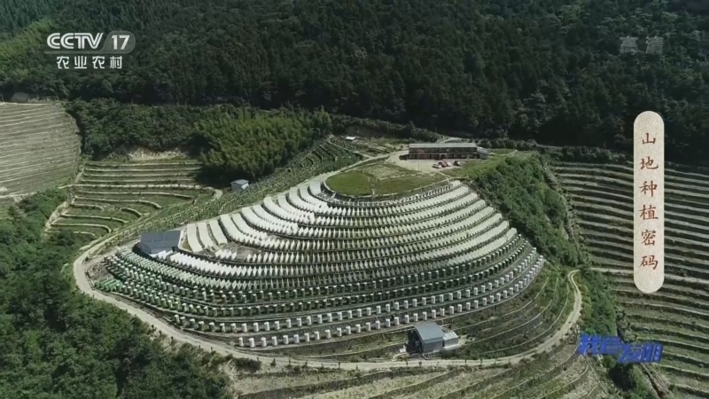 我爱发明 《我爱发明》 20221013 山地种植密码