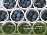 走近科学 《走近科学》 20160223 烟花爆竹闹元宵（下）
