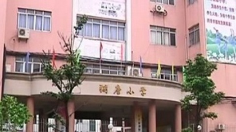 小强热线 小强热线20150316