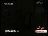 健康之路 寻找保胎密码