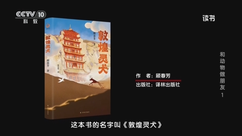 读书 《读书》 20260722 顾春芳 《敦煌灵犬》 和动物做朋友1