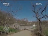 焦点访谈 《焦点访谈》 20170301 乡土中国农村系列调查：孤独的守望